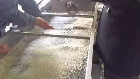 Best-Quality-Instant-Rice-Maker-With-Good (1)