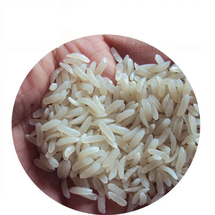 artificial rice extruder 